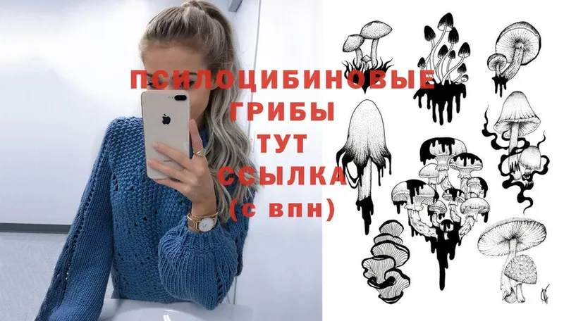 Псилоцибиновые грибы Magic Shrooms  Георгиевск 